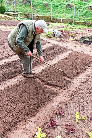 Preparing_the_kitchen_garden_soil_before_sowing