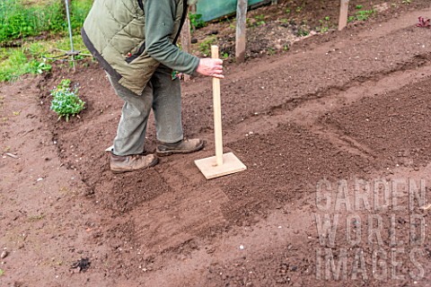 Sowing_of_Radish_Le_radical_in_a_kitchen_garden