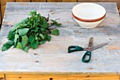 Making of nettle manure