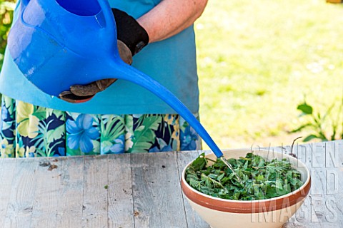 Making_of_nettle_manure