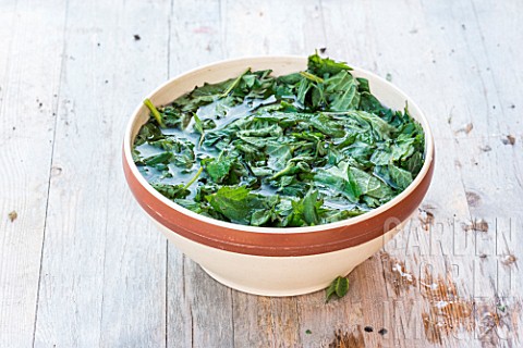 Making_of_nettle_manure