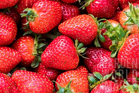 Strawberries_Darselect