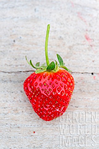 Strawberry_Darselect
