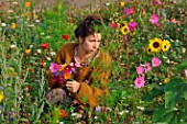 Young woman making a bouquet in a flower meadow