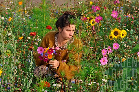 Young_woman_making_a_bouquet_in_a_flower_meadow