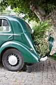 Planting inside an old car, Colonia del Sacramento, UNESCO World Heritage Colonial Town, Uruguay