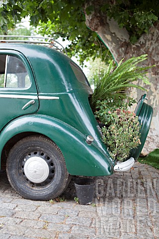 Planting_inside_an_old_car_Colonia_del_Sacramento_UNESCO_World_Heritage_Colonial_Town_Uruguay