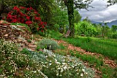 Rhododendron in bloom and rock garden