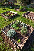 Aromatic plants an salad in square foot kitchen garden, Provence, France