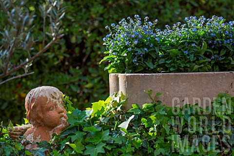 Clay_angel_and_Myosotis_in_planter_Provence_France