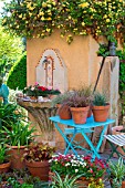 Festuca glauca and Carex comans Bronze, Frosted and Prairie Fire in pots on a table, Provence, France