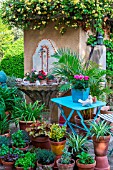 Miniature Rosa (rose) and various pot plant in front of a garden fountain, Provence, France