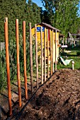 Stakes for tomatoes and plantation of Tagetes in a kitchen garden, Provence, France