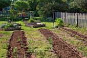 Preparation for tomato cultivation in a kitchen garden - Provence - France