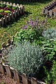 Aromatic plants in a square foot kitchen garden, Provence, France