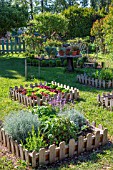 Aromatic plants in a square foot kitchen garden, Provence, France