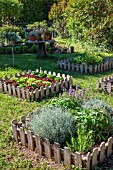 Aromatic plants in a square foot kitchen garden, Provence, France