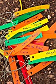 Tomato planting - Plant labels, Provence, France