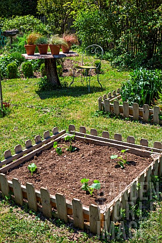 Zucchini_seedlings_in_square_foot_kitchen_garden_Provence_France