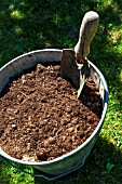 Leaf mould in a bucket, Provence, France