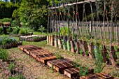 Tomatoes on stakes and White mustard seeding protected from the sun with trays, Vegetable Garden, Provence, France