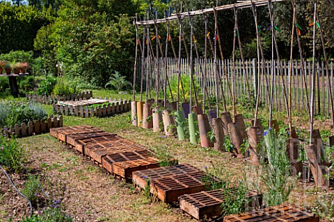 Tomatoes_on_stakes_and_White_mustard_seeding_protected_from_the_sun_with_trays_Vegetable_Garden_Prov
