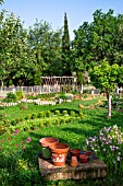 Vegetable garden in spring, Provence, France