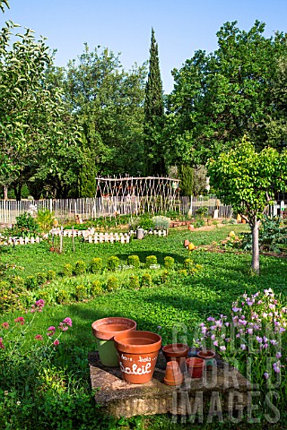 Vegetable_garden_in_spring_Provence_France