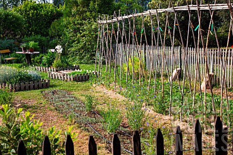 Tomato_Planting_and_White_mustard_seedlings_Vegetable_Garden_Provence_France