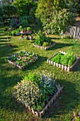 Square foot kitchen garden in June, Provence, France