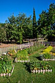 White mustard, Square foot kitchen garden, Tomato on stakes, Dahlias cactus, Provence, France
