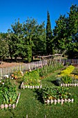 White mustard, Square foot kitchen garden, Tomato on stakes, Dahlias cactus, Provence, France