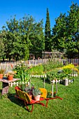 White mustard, Square foot kitchen garden, Tomatoes on stakes, Dahlia, Wheelbarrow, table and aromatic plants in the vegetable garden, Provence, France