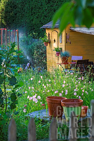 Sprinkler_irrigation_and_shed_in_Vegetable_Garden_Provence_France