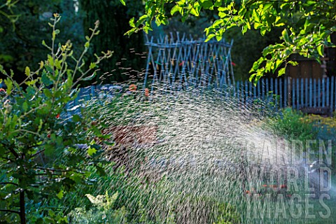 Sprinkler_irrigation_in_the_Vegetable_Garden_Provence_France