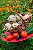 Summer harvest of fruits and vegetables on a small garden table, Provence, France