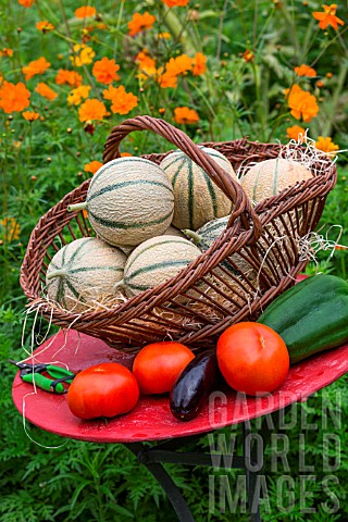 Summer_harvest_of_fruits_and_vegetables_on_a_small_garden_table_Provence_France