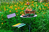 Summer harvest of fruits and vegetables on a small garden table, Provence, France