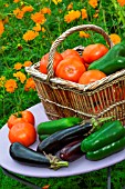 Summer harvest of vegetables on a small garden table, Provence, France