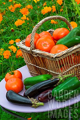 Summer_harvest_of_vegetables_on_a_small_garden_table_Provence_France