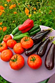 Summer harvest of vegetables on a small garden table, Provence, France