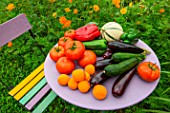 Summer harvest of fruits and vegetables on a small garden table, Provence, France