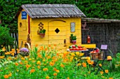 Garden shed with Cosmos and vegetables in seating area in July, Provence, France