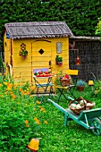 Garden shed with Cosmos and vegetables in seating area in July, Provence, France