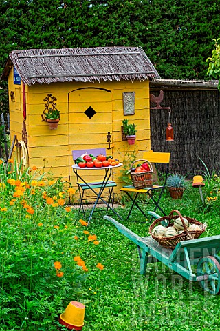 Garden_shed_with_Cosmos_and_vegetables_in_seating_area_in_July_Provence_France