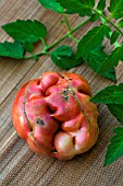 Tomato Noire de Crimee, Ugly vegetable, Provence, France