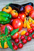 Tomatoes, aubergine and peppers, Provence, France