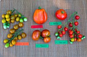 Tomato Cornabel, Tomato Saint Pierre, Tomato Cherry Raisin Vert, Tomato Marnero, Tomato Cherry Sweet, Provence, France