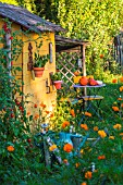 Garden shed with squash and seating area in July, Provence, France