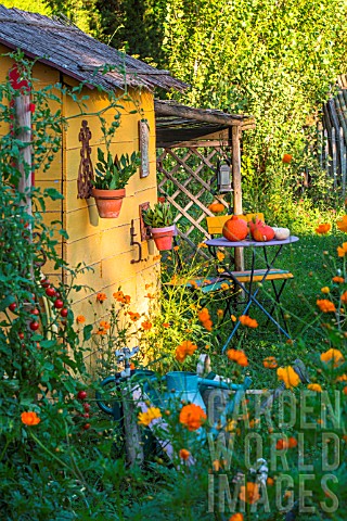 Garden_shed_with_squash_and_seating_area_in_July_Provence_France